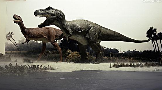能杀死霸王龙的十种恐龙是什么？