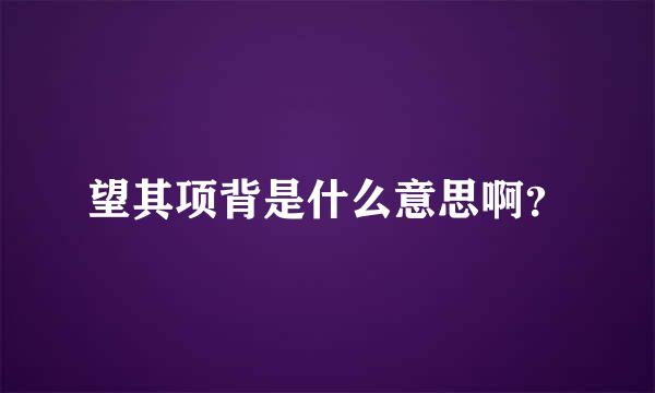 望其项背是什么意思啊？