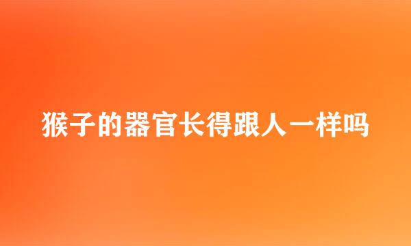 猴子的器官长得跟人一样吗