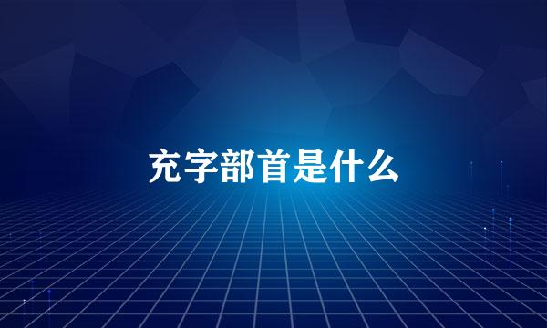 充字部首是什么