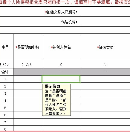 怎么申报个人所得税网上申报流程