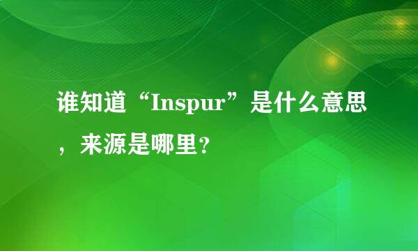 谁知道“Inspur”是什么意思，来源是哪里？