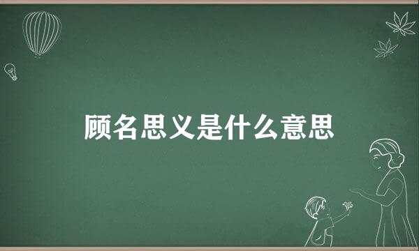 顾名思义是什么意思