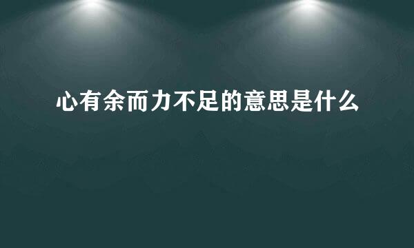 心有余而力不足的意思是什么