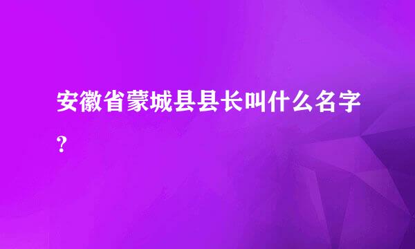 安徽省蒙城县县长叫什么名字？