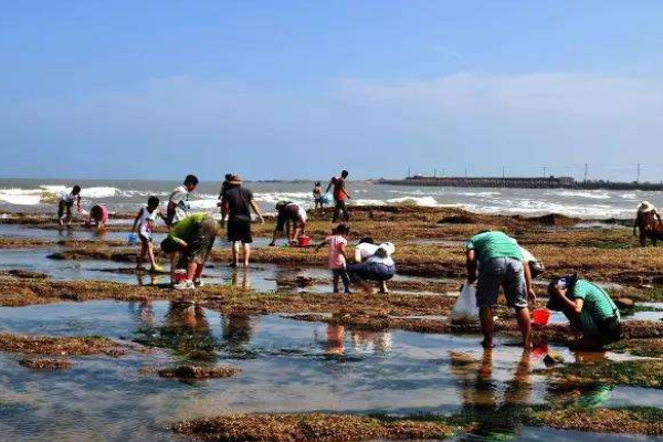 海边渔民经常说的“赶海”，究竟是什么意思？