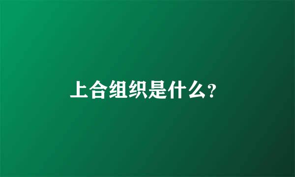 上合组织是什么？