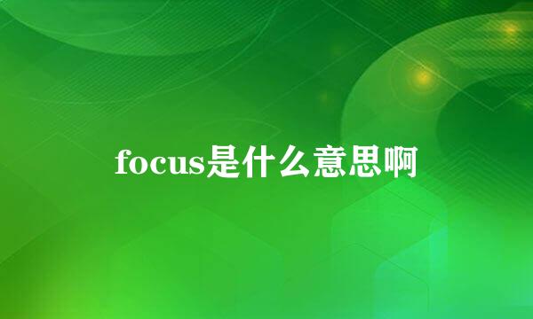 focus是什么意思啊