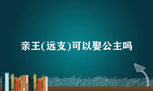 亲王(远支)可以娶公主吗