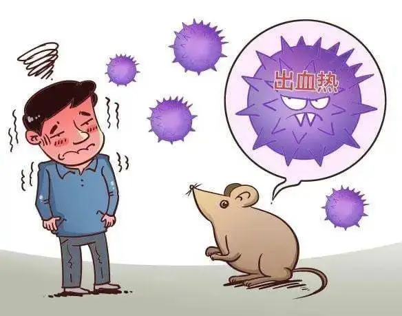 猴痘病毒已在美国境内蔓延，感染这种病毒后会对身体机能有何影响？