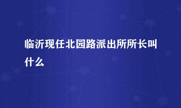 临沂现任北园路派出所所长叫什么