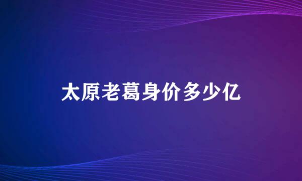 太原老葛身价多少亿