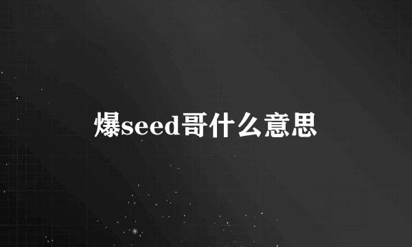 爆seed哥什么意思