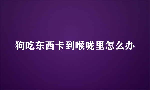 狗吃东西卡到喉咙里怎么办