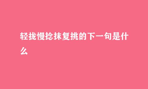 轻拢慢捻抹复挑的下一句是什么