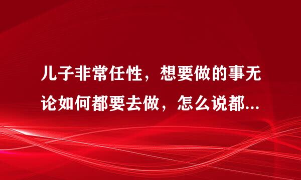 儿子非常任性，想要做的事无论如何都要去做，怎么说都不行，怎么办？