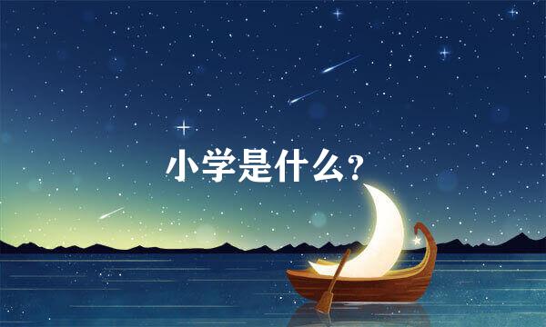 小学是什么？