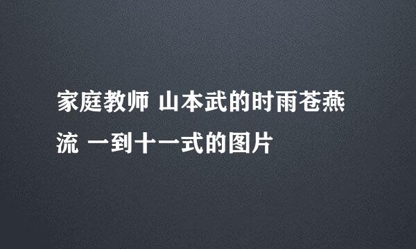 家庭教师 山本武的时雨苍燕流 一到十一式的图片