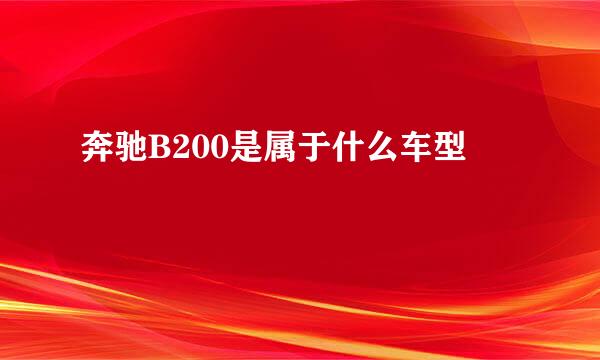 奔驰B200是属于什么车型