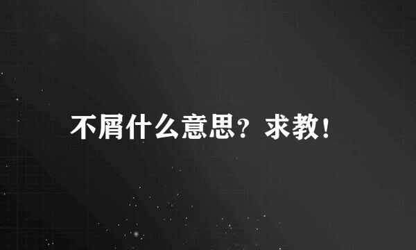 不屑什么意思？求教！