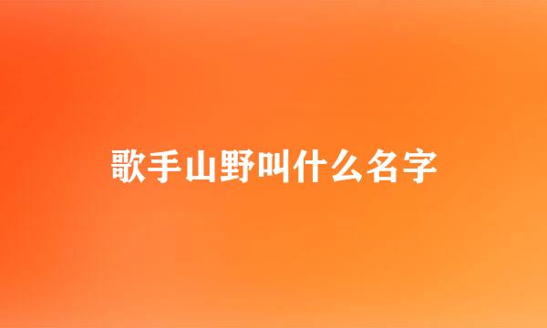 歌手山野叫什么名字