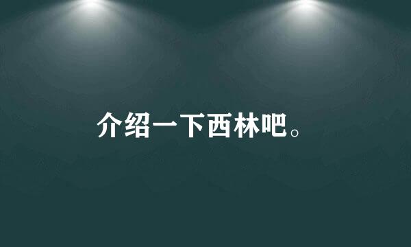 介绍一下西林吧。