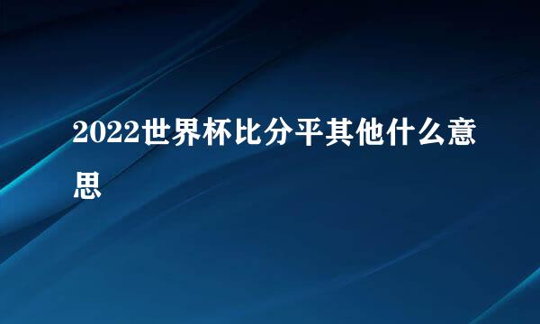 2022世界杯比分平其他什么意思