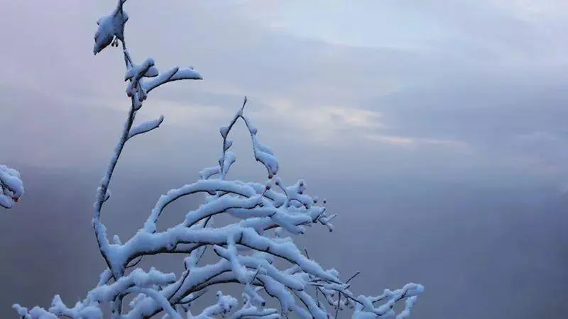 辽宁多地大雪纷飞，积雪没脚踝，东北版一夜入冬是怎样的体验？