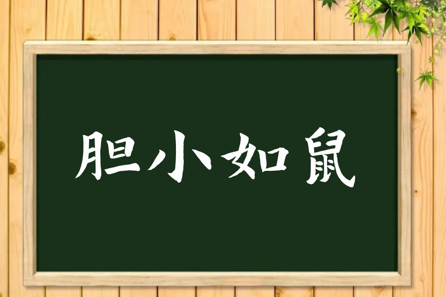 胆小如鼠什么意思