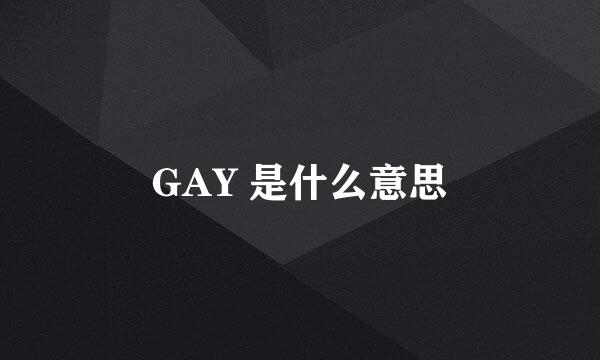 GAY 是什么意思