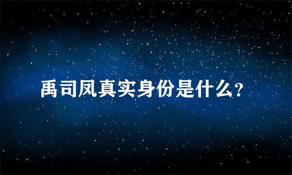 禹司凤真实身份是什么？