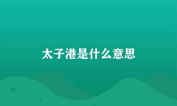 太子港是什么意思