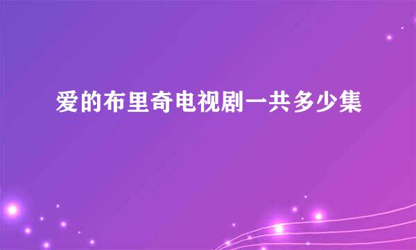 爱的布里奇电视剧一共多少集