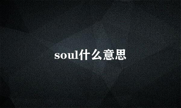 soul什么意思