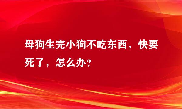 母狗生完小狗不吃东西，快要死了，怎么办？