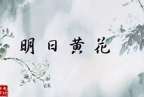 明日黄花的意思