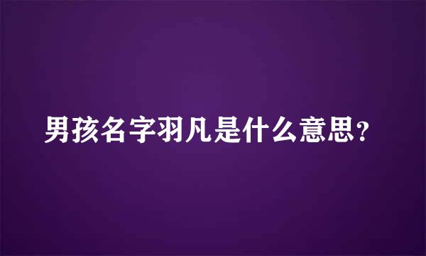 男孩名字羽凡是什么意思？