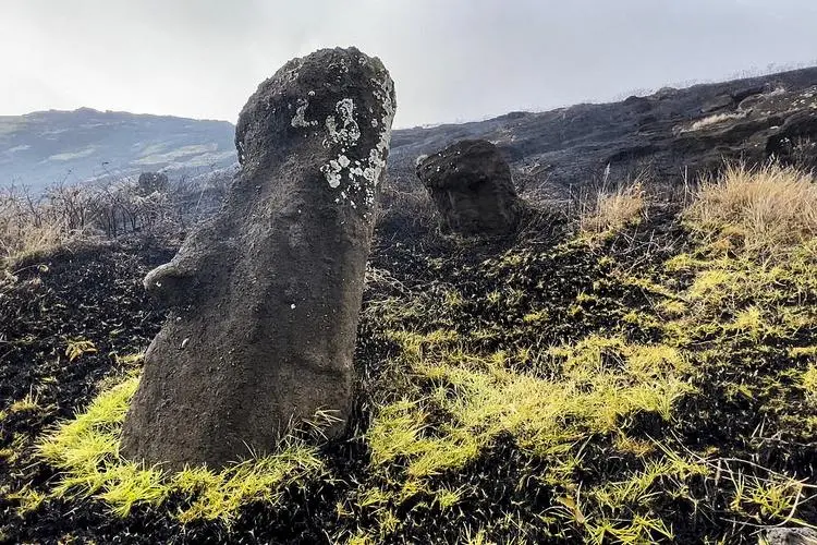 智利复活节岛山火肆虐，巨型石像严重受损，目前情况如何？