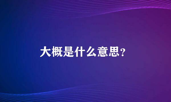 大概是什么意思？