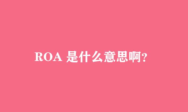 ROA 是什么意思啊？