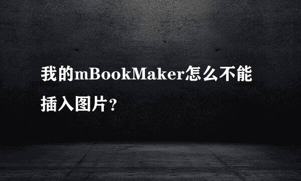 我的mBookMaker怎么不能插入图片？