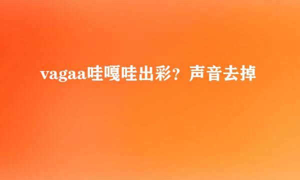 vagaa哇嘎哇出彩？声音去掉