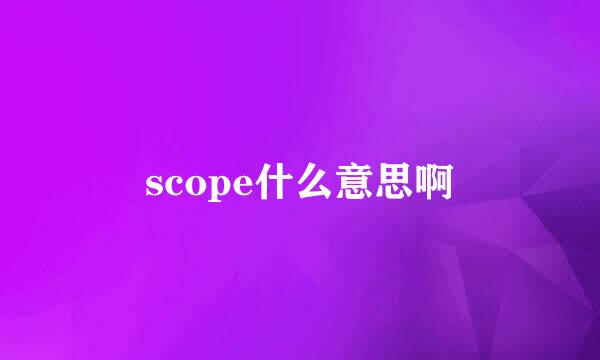 scope什么意思啊