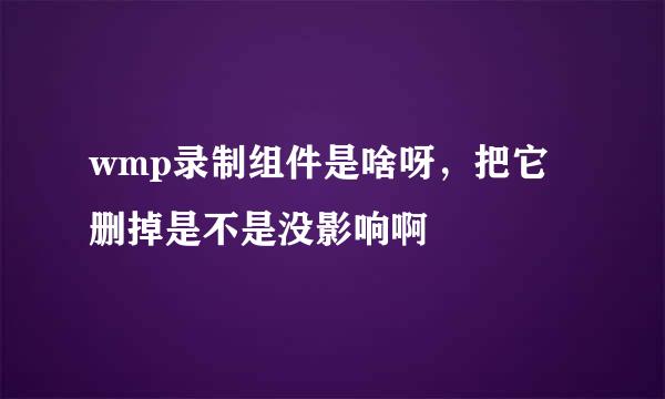 wmp录制组件是啥呀，把它删掉是不是没影响啊