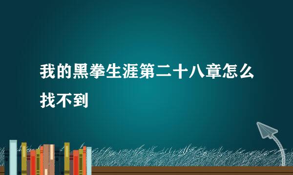 我的黑拳生涯第二十八章怎么找不到