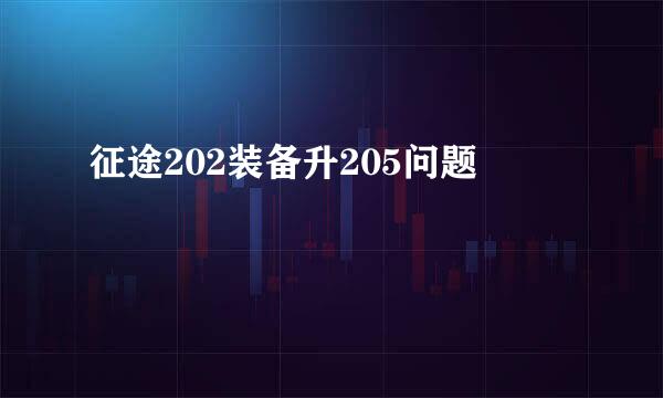 征途202装备升205问题