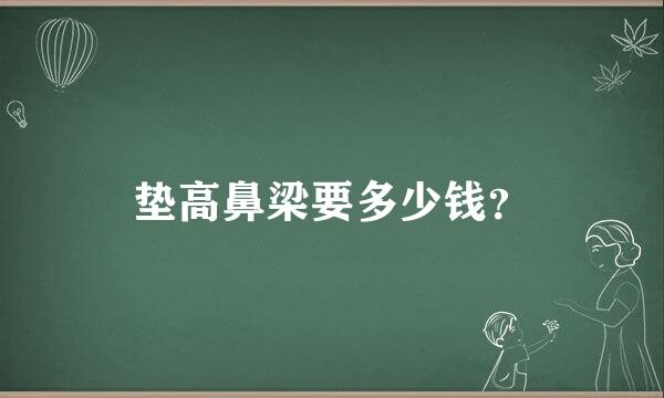 垫高鼻梁要多少钱？