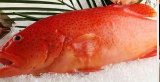 红星斑鱼的营养价值