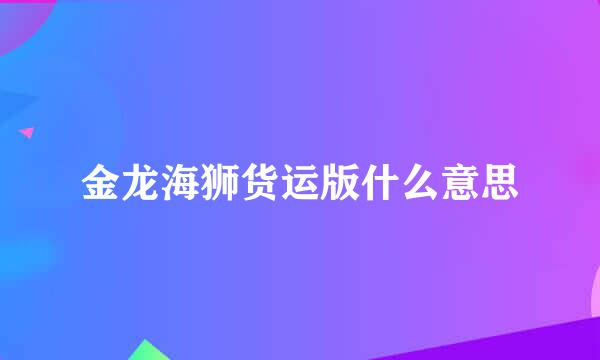 金龙海狮货运版什么意思