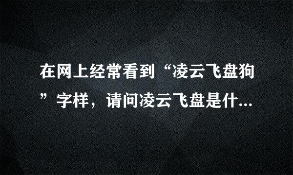 在网上经常看到“凌云飞盘狗”字样，请问凌云飞盘是什么犬种的狗呢？